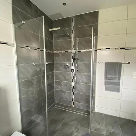 2 Schweizer 公寓 盖辛根