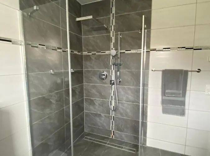 2 Schweizer Daire Geisingen